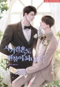 Cover of Can a fraudulent marriage be refunded?