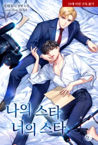 Cover of My Star, Your Star