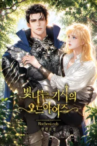 Cover of The Shining Knight’s Odd Eyes