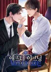 Cover of After Evening