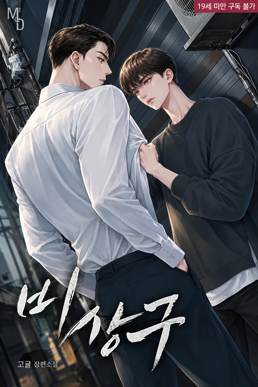 Novel Image